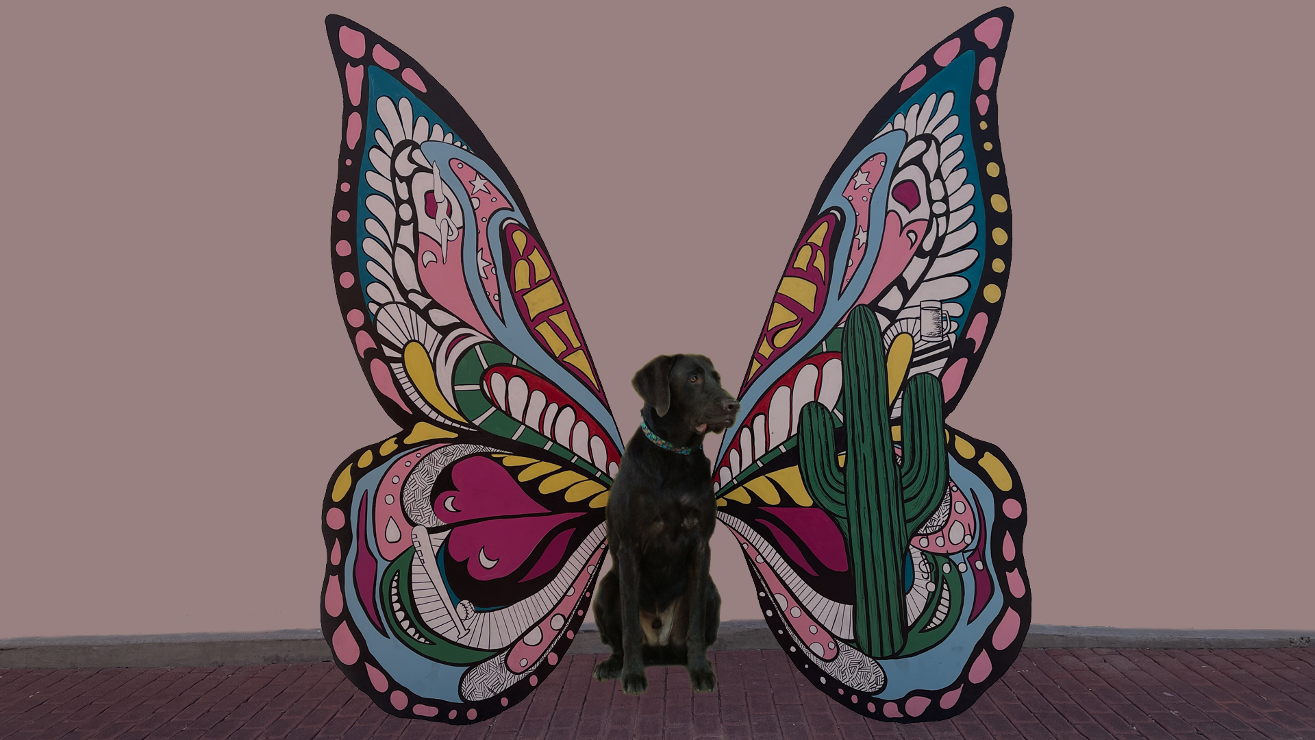 dog with butterfly wings